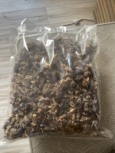 Morilles traiteur kg - morilles,