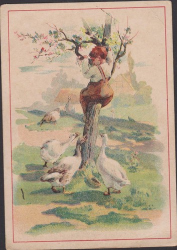 Chromo publicitaire ancien - publicitaire,