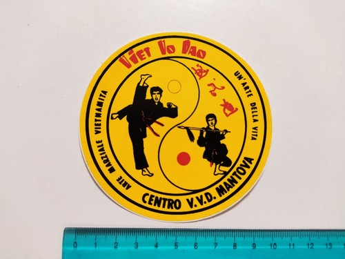 Autocollant viet dao - vo,