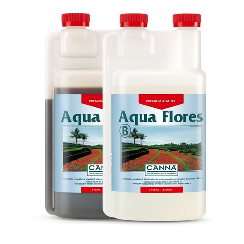 Canna aqua flores - flores, a&b