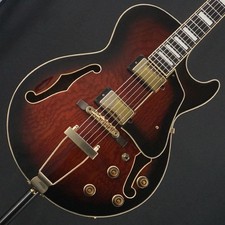Ibanez Artcore Expressionist
