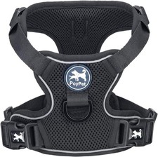 Harnais pour chien en mesh