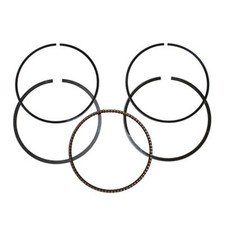 SEGMENTMAXISCOOTER ADAPTABLE