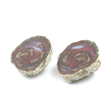 Lithophyse. 76.0 ct. Massif de