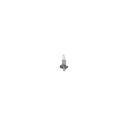 Ampoule projecteur longue - 1x,