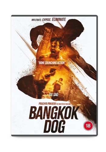Bangkok dog brian - dog, le