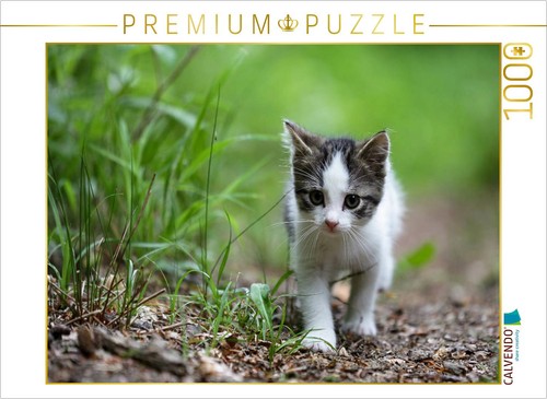 Calvendo puzzle ein motiv aus - puzzle,
