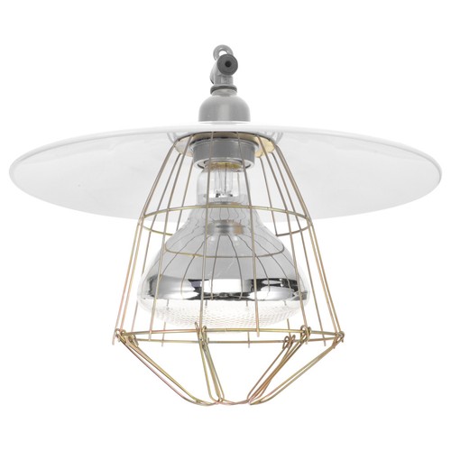 Lampe chauffante oiseaux - oiseaux, des