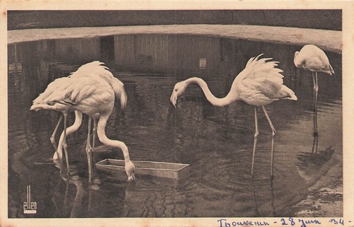Paris parc zoologique bois - 75,