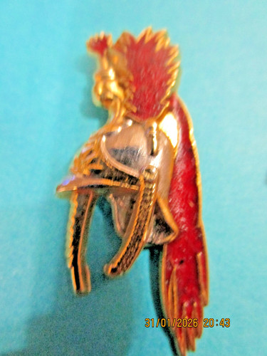 Pin gendarmerie nationale - gendarmerie, /