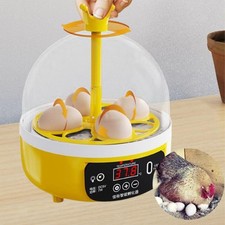 Egg Incubator Chick Hatcher Science and Education tient 8 œufs Machine de