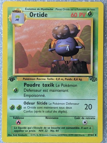 Ortide 1ère édition jungle - ortide,