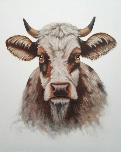 Peinture vache huile sur - vache,,