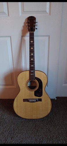 1970 giannini acoustic - 1970, guitar