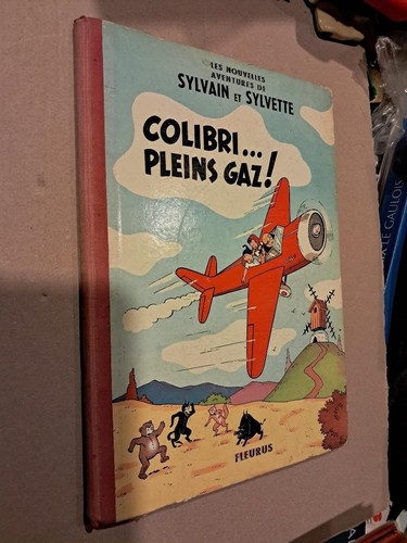 Sylvain sylvette colibri - sylvette,