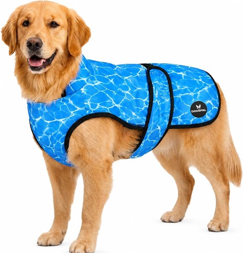 Gilet rafraîchissant chien - rafraîchissant, pr