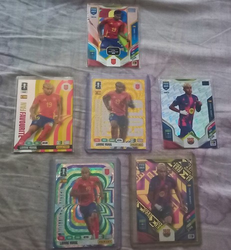 Lot lamine yamal panini - yamal,