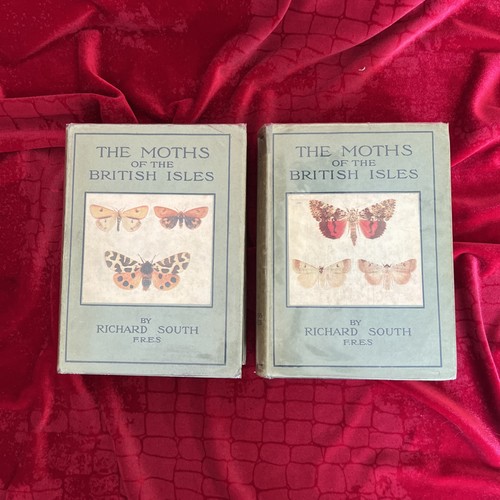 The moths - the,