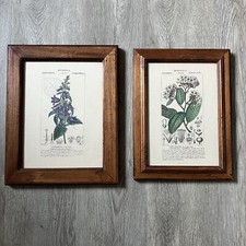 Lot 2 Anciennes Planches