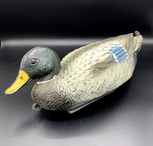 Canard chasse mallard drake - chasse,