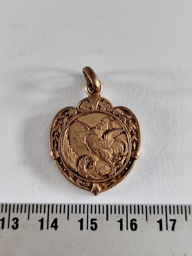 Medaille journee puy de - puy,