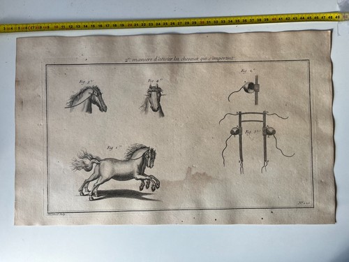 Chevaux machines et - -,