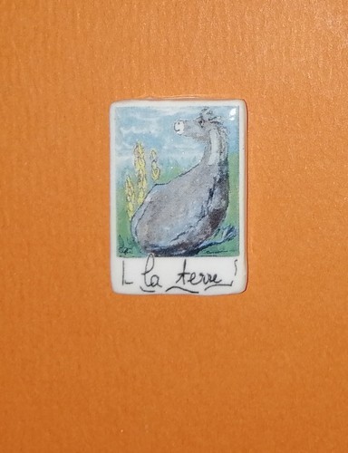 Fève max poilane - fève,