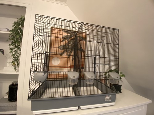 Cage oiseaux - cage, à