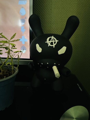 Kidrobot dunny frank - –,