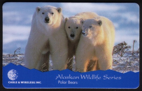Alaskan vie sauvage séries - alaskan,