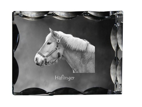 Haflinger cadre cristal - haflinger,