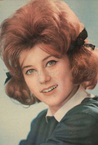 Sheila 1960s carte - sheila   1960s,