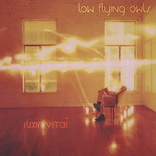 Low flying owls elixir vitae - owls,