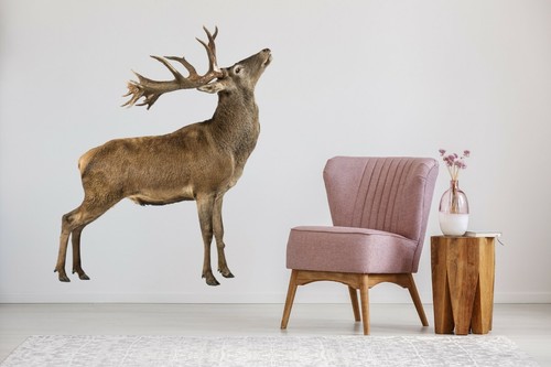 Cerf doux c85 animal - cerf, papier