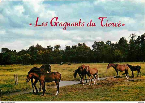Carte postale animaux - carte,