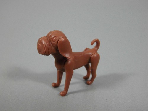 Animaux compagnie hune - compagnie,