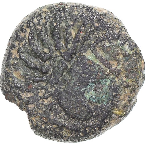 Monnaie carnutes bronze à - carnutes,,