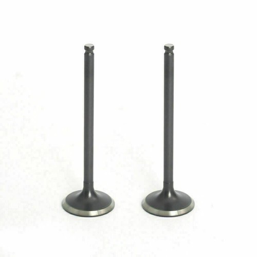 Soupape échappement - 2x, d'échappement