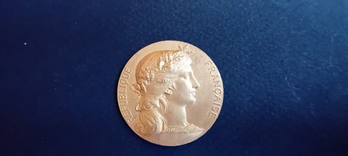 Médaille vermeil pour - vermeil, le