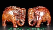 Vieille dynastie naturelle