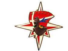 ANCIEN INSIGNE 299° REGIMENT
