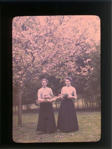 Autochrome 9x12 printemps - autochrome,