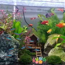  6 Pcs Aquarium Accessoires Gravier Daquarium Décoration De Paysage D'aquarium