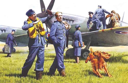Raf pilots sol personnel - au,