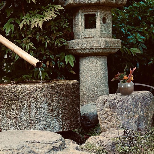 Fontaine dintérieur - fontaine,