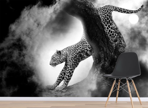 Papier peint animal - , 3d