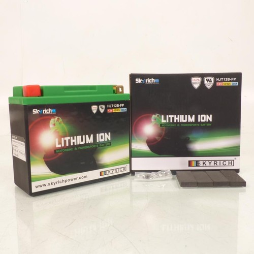 Batterie lithium skyrich pour - lithium,