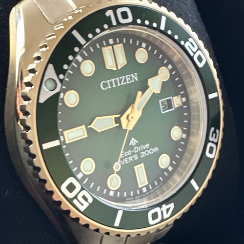 Citizen promaster dive - citizen,