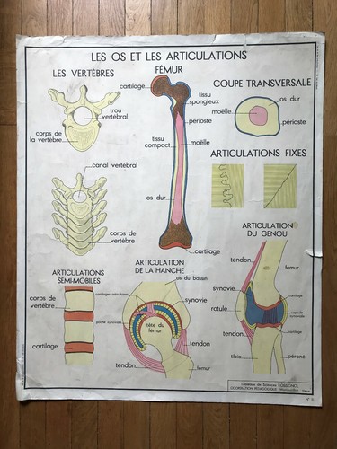 Carte affiche scolaire - carte,