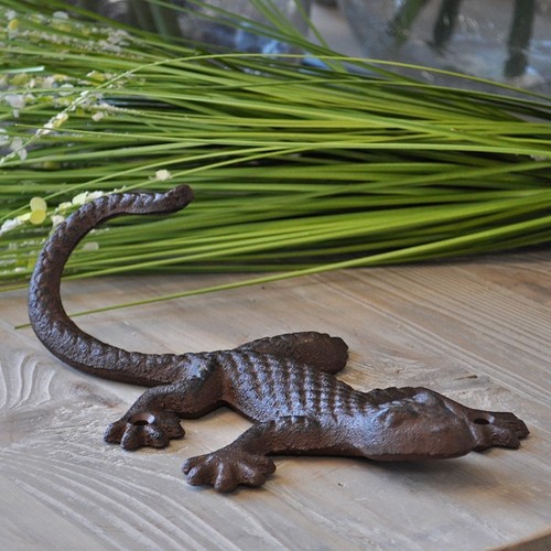 Salamandre fonte marron - salamandre,